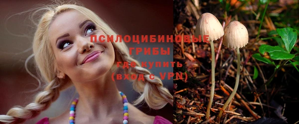 героин Няндома