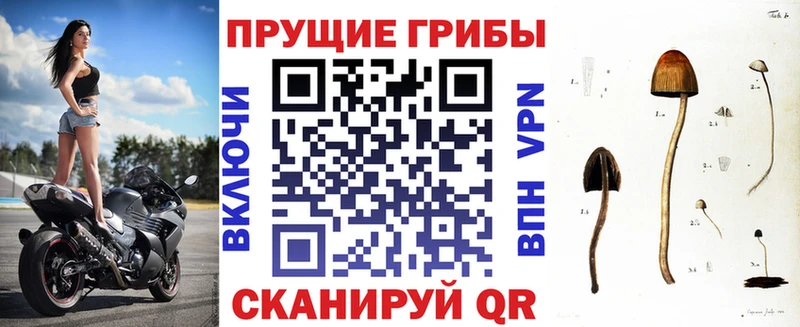 Псилоцибиновые грибы GOLDEN TEACHER  Слободской 